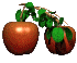 A gif of two apples.