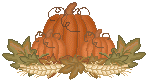 An image of several pumpkins.